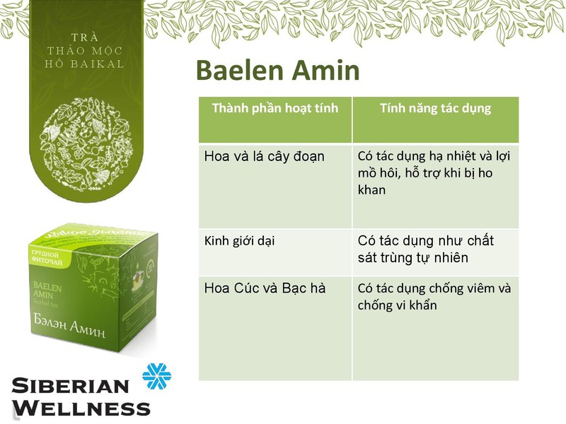 Thành phần hoạt tính và tác dụng của các loại thảo mộc của trà Baelen Amin